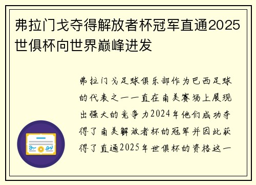 弗拉门戈夺得解放者杯冠军直通2025世俱杯向世界巅峰进发